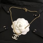 CHANEL necklace snake shaped scale chain cc smooth surface